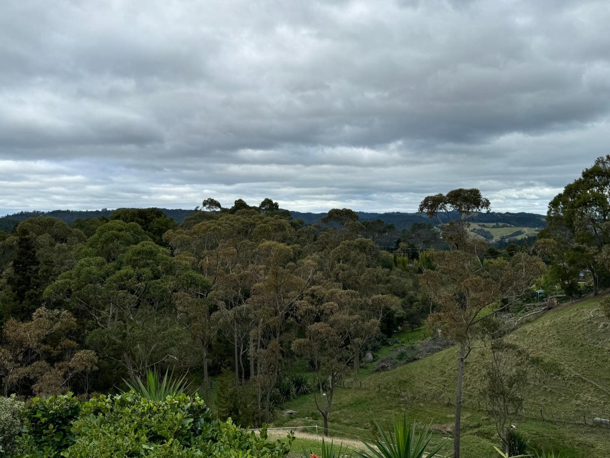 Private Cabin Close To The City Centre Whangarei Ngoại thất bức ảnh