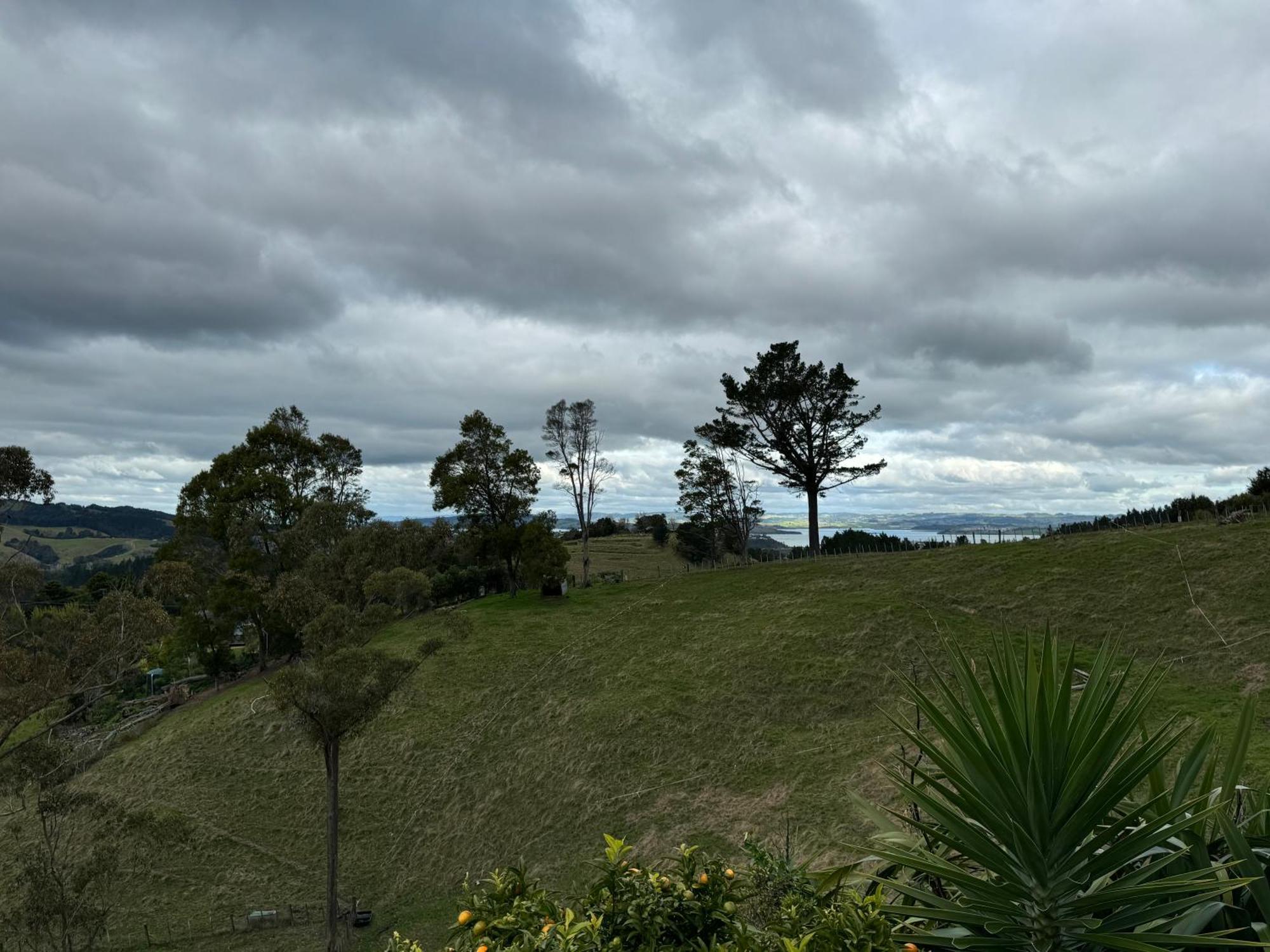 Private Cabin Close To The City Centre Whangarei Ngoại thất bức ảnh