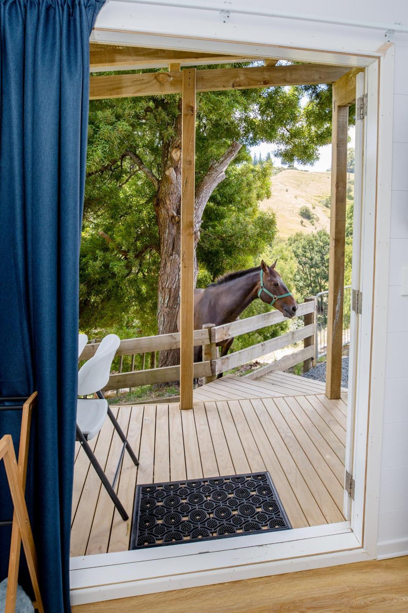 Private Cabin Close To The City Centre Whangarei Ngoại thất bức ảnh
