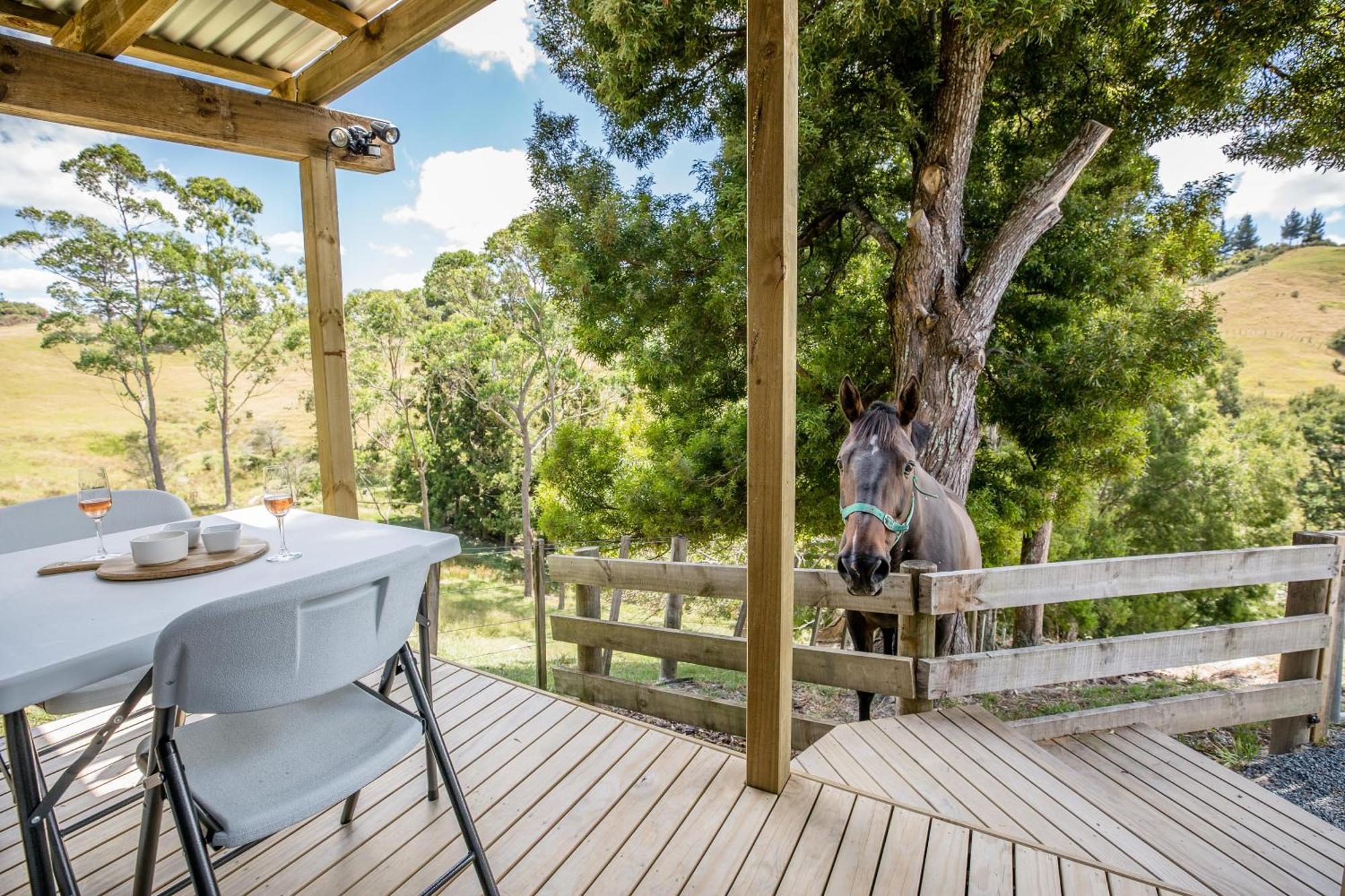 Private Cabin Close To The City Centre Whangarei Ngoại thất bức ảnh
